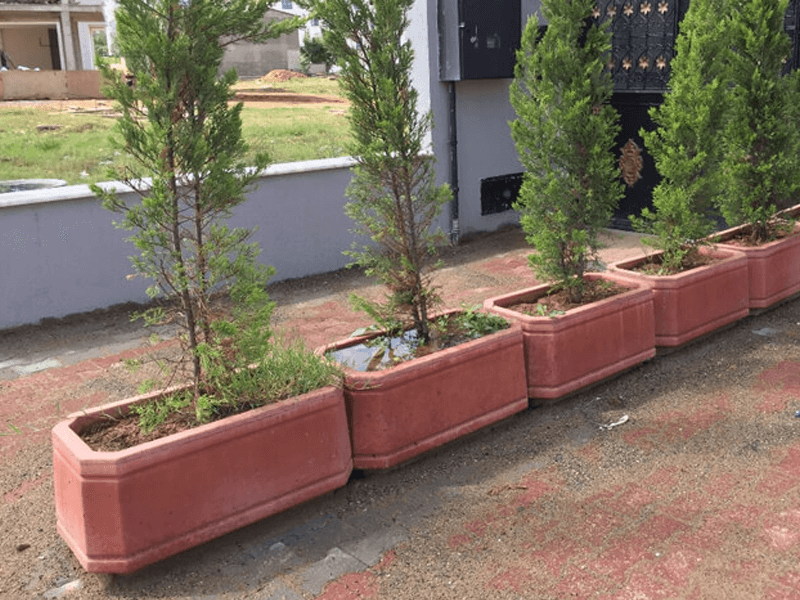 Dikdörtgen Desenli Beton Saksı