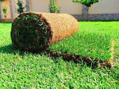 Hazır Rulo Çim Hazır Rulo Çim